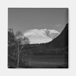 Birkenbaum und Blencathra Magnet