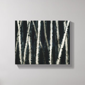 Birkenbäume bei nächtlich gestreiften Canvas Print Leinwanddruck