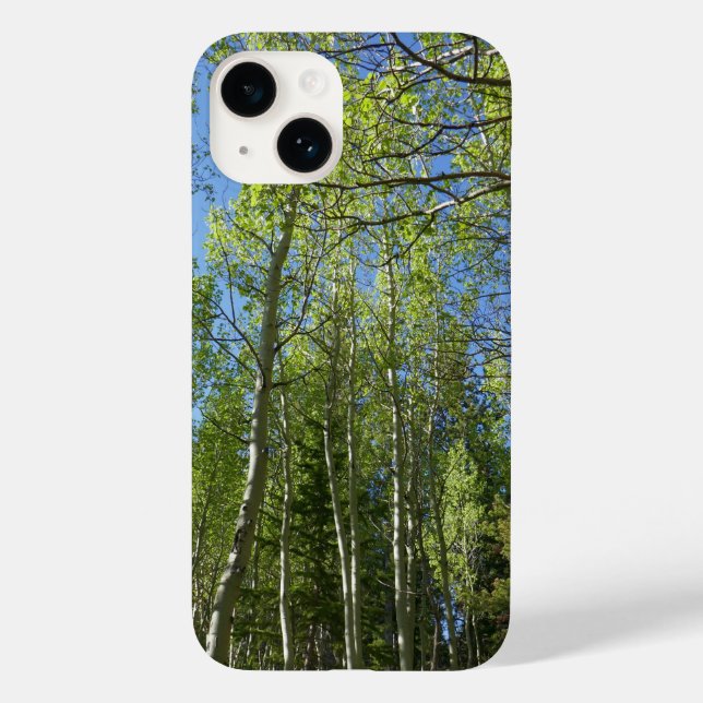 Birkenbäume im Rocky Mountain Case-Mate iPhone 14 Hülle (Rückseite)