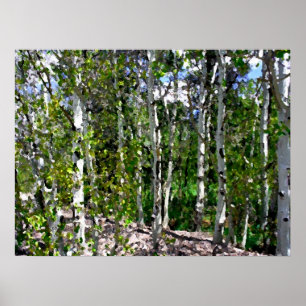 Birkenbäume Watercolor auf Leinwand 24x18 Poster