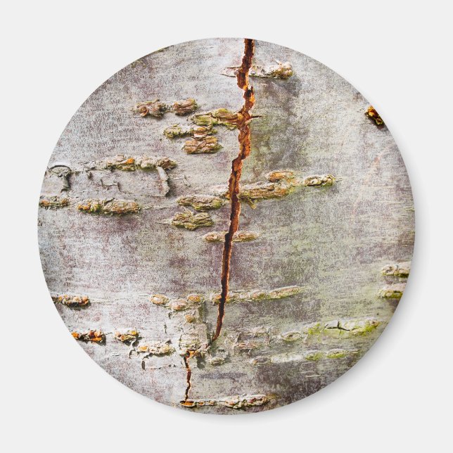 Birkenhalde Magnet (Vorne)