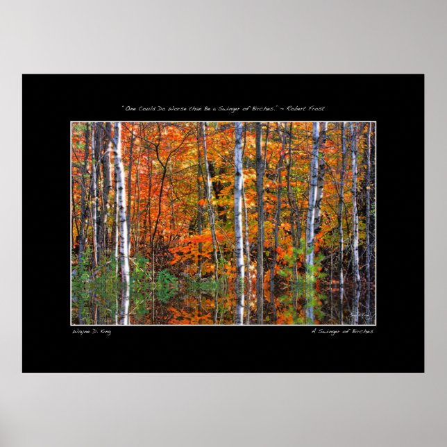 Birkenplakat Poster (Vorne)