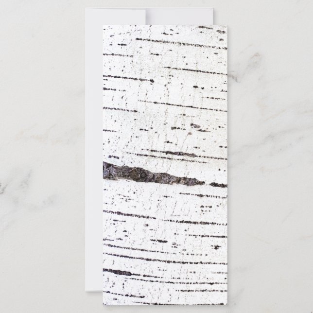 Birkenrinde (Vorderseite)