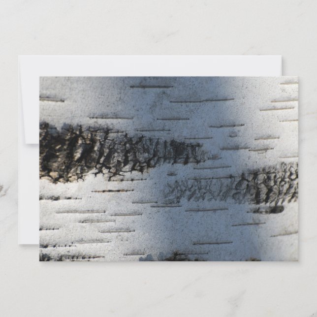 Birkenrinde 1291 (Vorderseite)