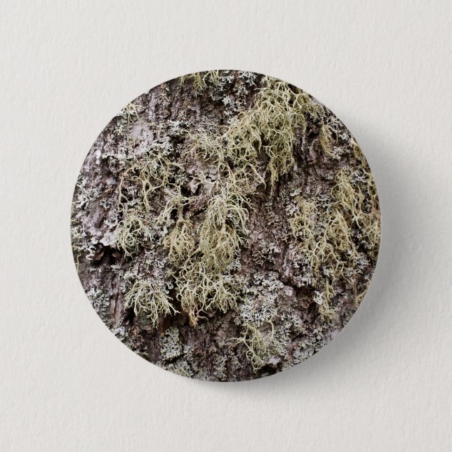 Birkenrinde Button (Vorderseite)