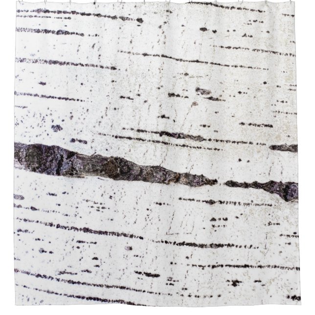 Birkenrinde Duschvorhang (Vorderseite)