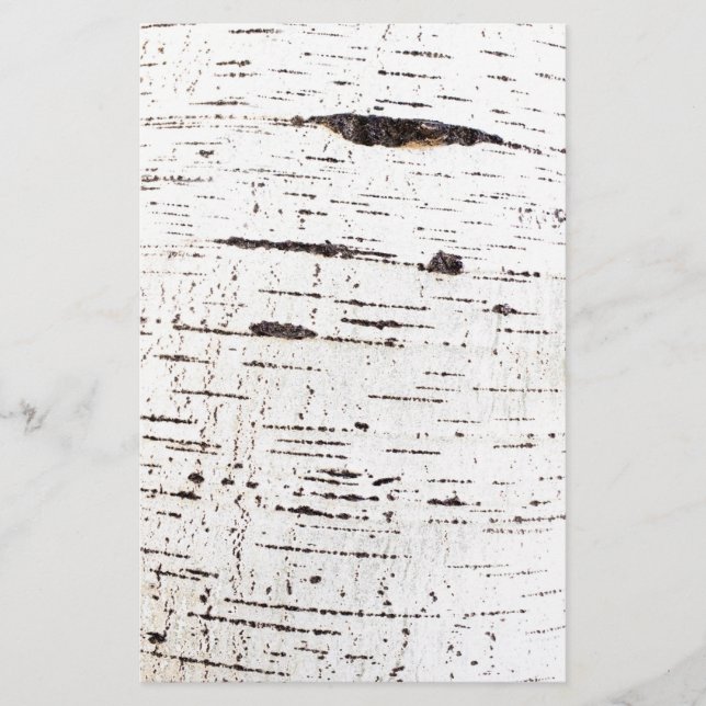 Birkenrinde Flyer (Vorne)