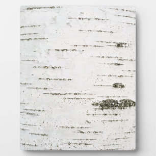 Birkenrinde Fotoplatte