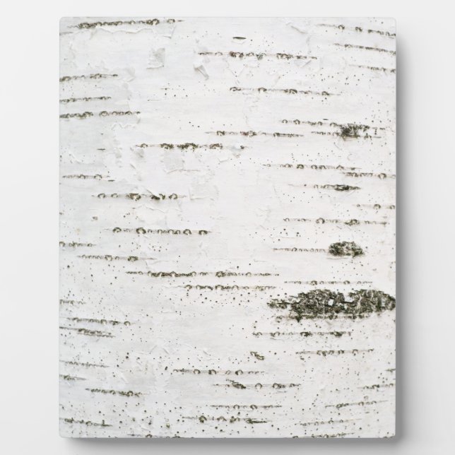 Birkenrinde Fotoplatte (Vorderseite)