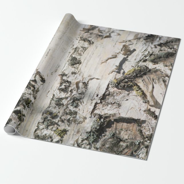 Birkenrinde Geschenkpapier (Ungerollt)