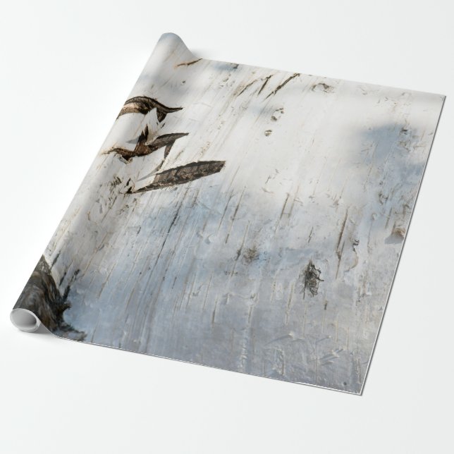 Birkenrinde Geschenkpapier (Ungerollt)