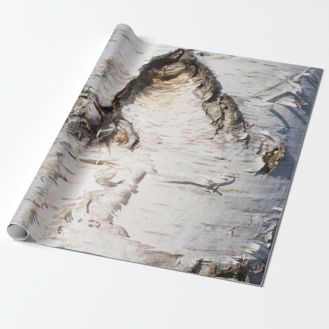 Birkenrinde Geschenkpapier (Ungerollt)