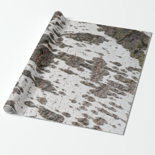 Birkenrinde Geschenkpapier