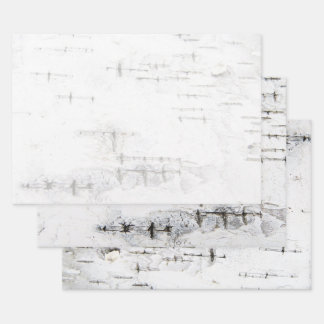Birkenrinde Geschenkpapier Set