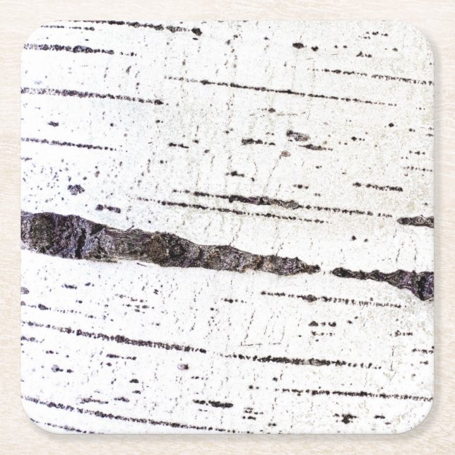 Birkenrinde Rechteckiger Pappuntersetzer (Vorderseite)