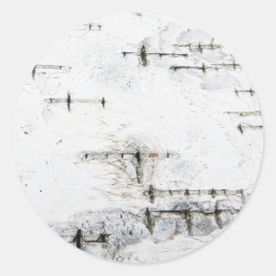 Birkenrinde Runder Aufkleber