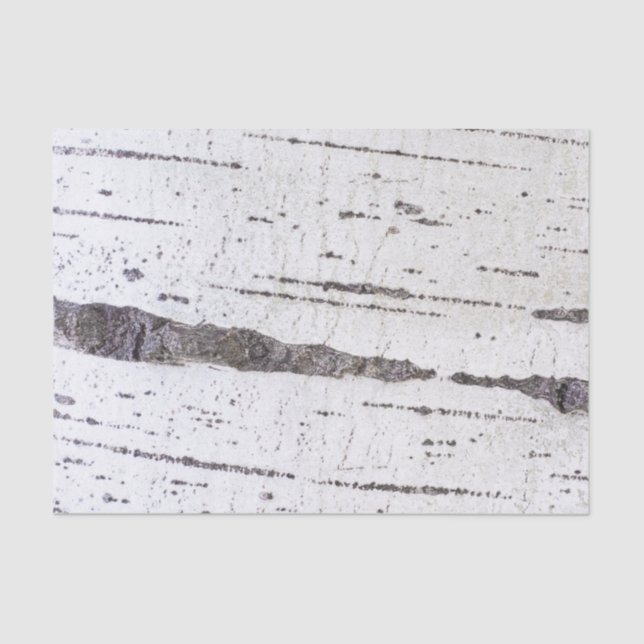 Birkenrinde Seidenpapier (Vorderseite)