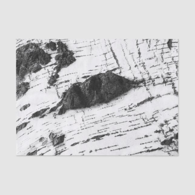 Birkenrinde Seidenpapier (Vorderseite)