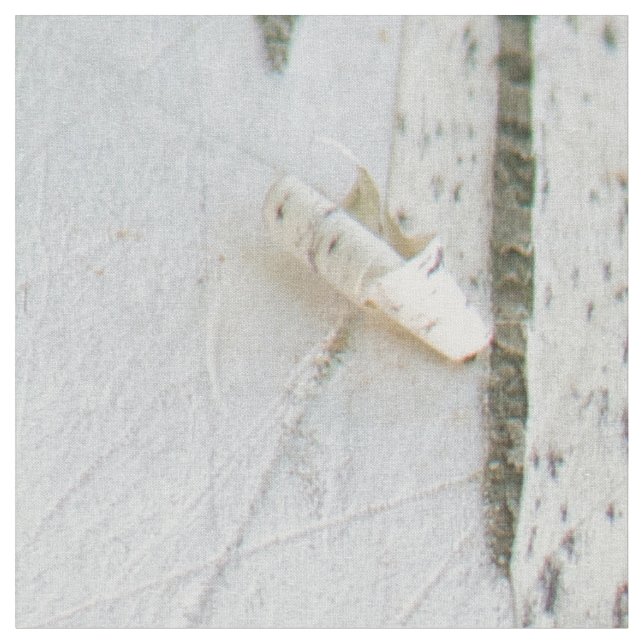 Birkenrinde Stoff (Nahaufnahme)