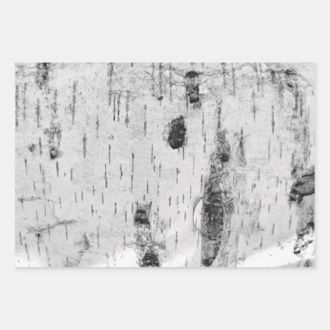 Birkenrinde-Verpackungsmuster Geschenkpapier Set (Vorderseite)