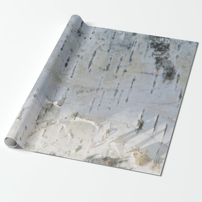 Birkenrindenmuster Geschenkpapier (Ungerollt)