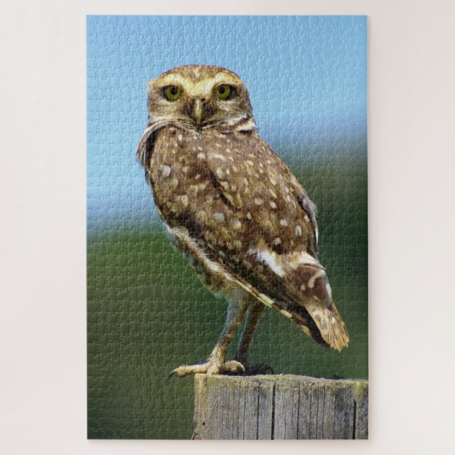 Birkenvogel (Vertikal)