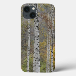 Birkenwald Foto Apple iPhone 8/7, Tough Xtreme Case-Mate iPhone Hülle