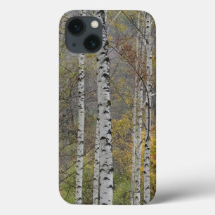 Birkenwald Foto Apple iPhone 8/7, Tough Xtreme Case-Mate iPhone Hülle
