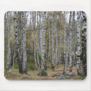 Birkenwald-Foto auf Mauspad