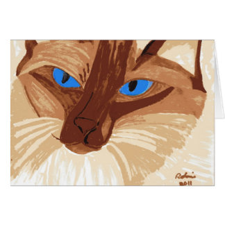 Birman a trouvé, Christchurch