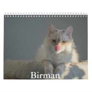 Birman Calendar Kalender