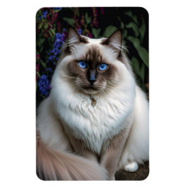 Birman Cat im Garden Magnet