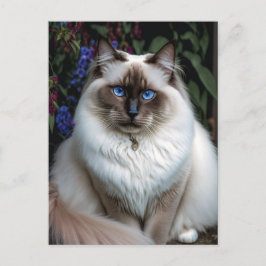 Birman Cat im Garten Postkarte