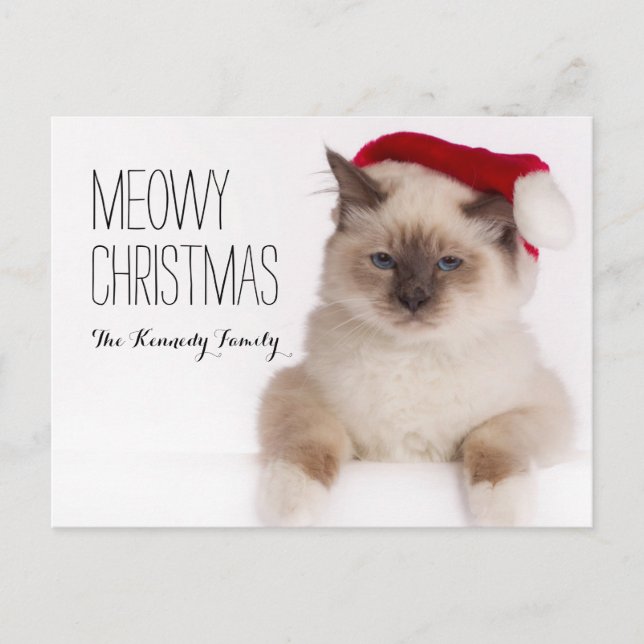 Birman Cat Santa Feiertagspostkarte (Vorderseite)
