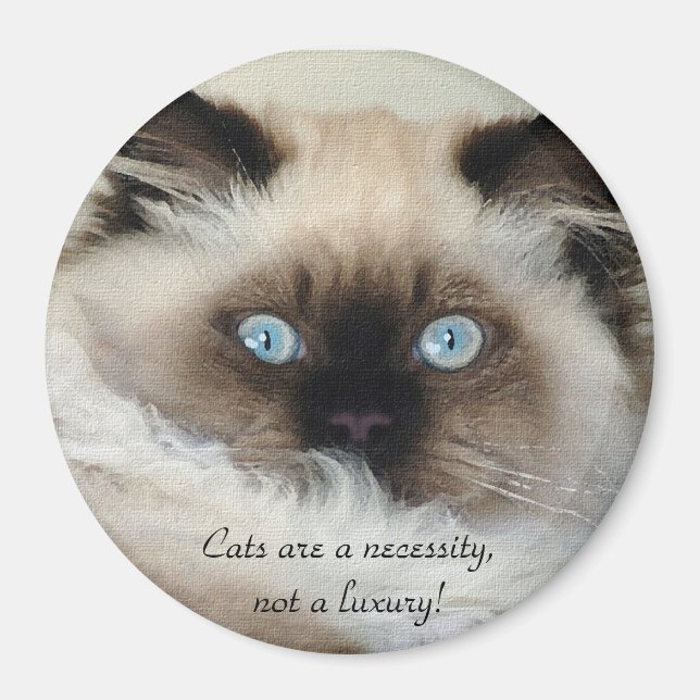 Birman - Ragdoll Cat Lover Magnet (Vorne)