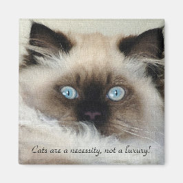 Birman - Ragdoll Cat Lover Magnet