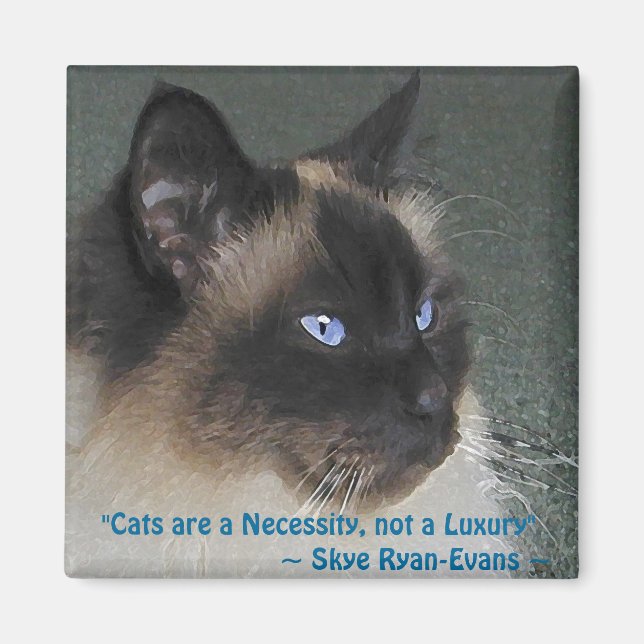 BIRMAN RAGDOLL CAT Magnet Serie (Vorne)