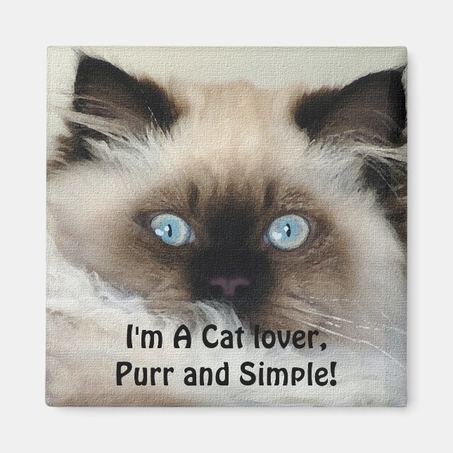 Birman - Ragdoll Cat Pet-Lover Magnet (Vorne)