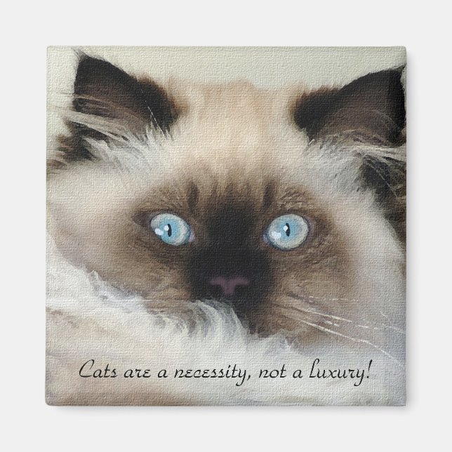 Birman - Ragdoll Magnet Amoureux des chats (Devant)