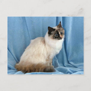 Birman, Siegel-Drehpunkt Postkarte