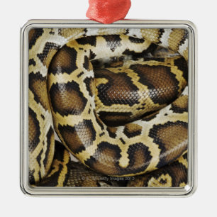 Birmanische Pythonschlange Ornament Aus Metall