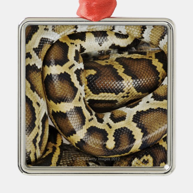 Birmanische Pythonschlange Ornament Aus Metall (Vorne)