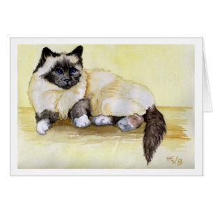 Birmanische Siegel-Punkt-Katze