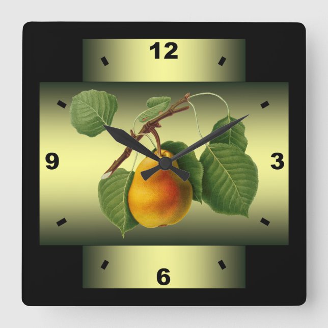 Birne ~ botanisches Frucht ~ Giorgio Gallesio ~ * Quadratische Wanduhr (Vorderseite)