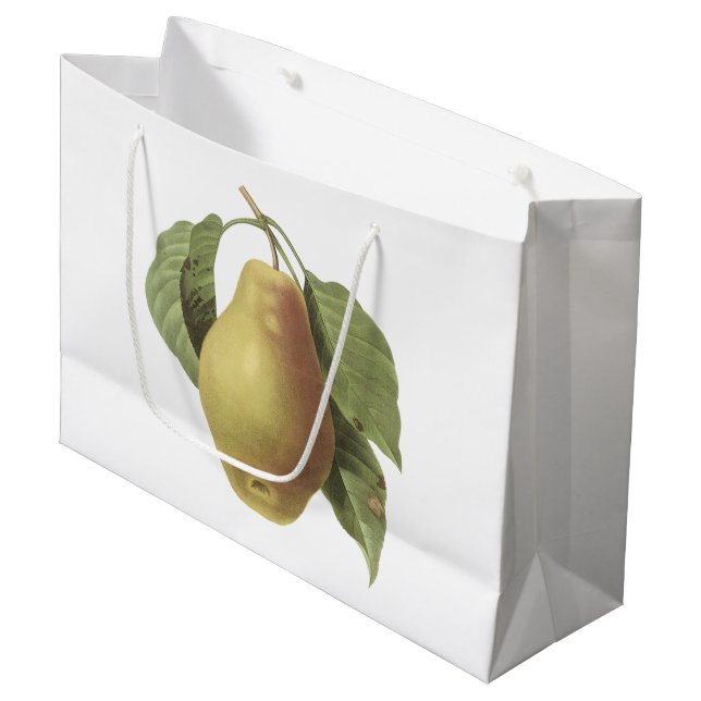 Birne (Pyrus-SP.) durch Redouté Große Geschenktüte (Vorderseite Schrägansicht)