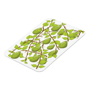 Birnen anbauen magnet