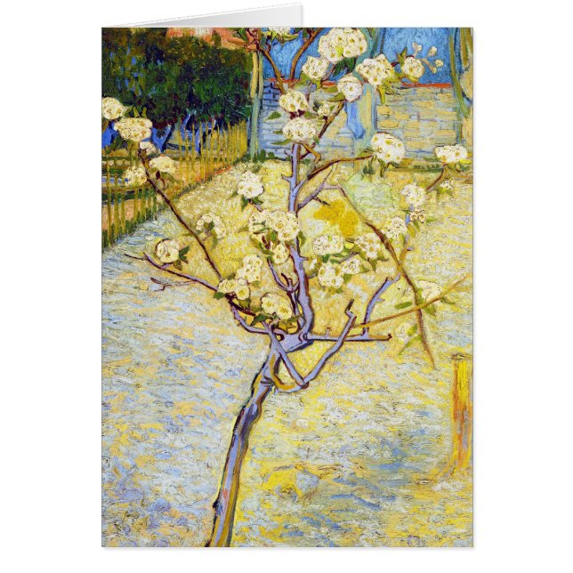 Birnen-Baum in Blüten-Vincent van Gogh-schöner (Vorne)