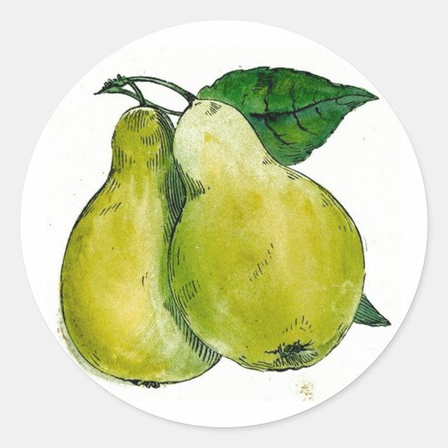 Birnen Runder Aufkleber (Vorderseite)