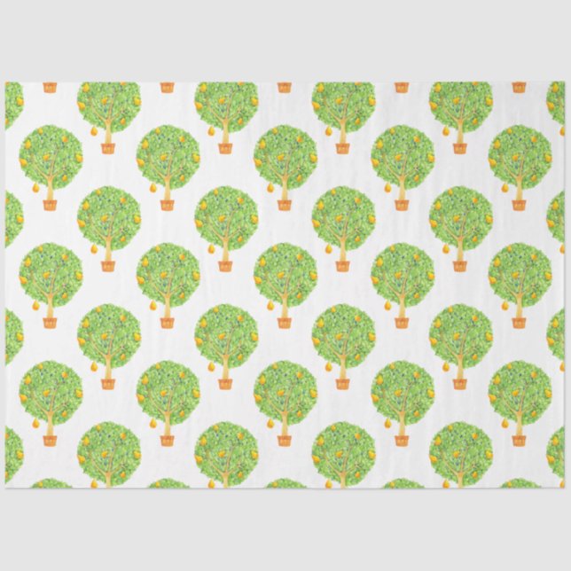 Birnenbaum 18lb Gewebepapier 20x30" Seidenpapier (Vorderseite)