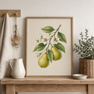 Birnenblüten Botanischer Kunstdruck Poster